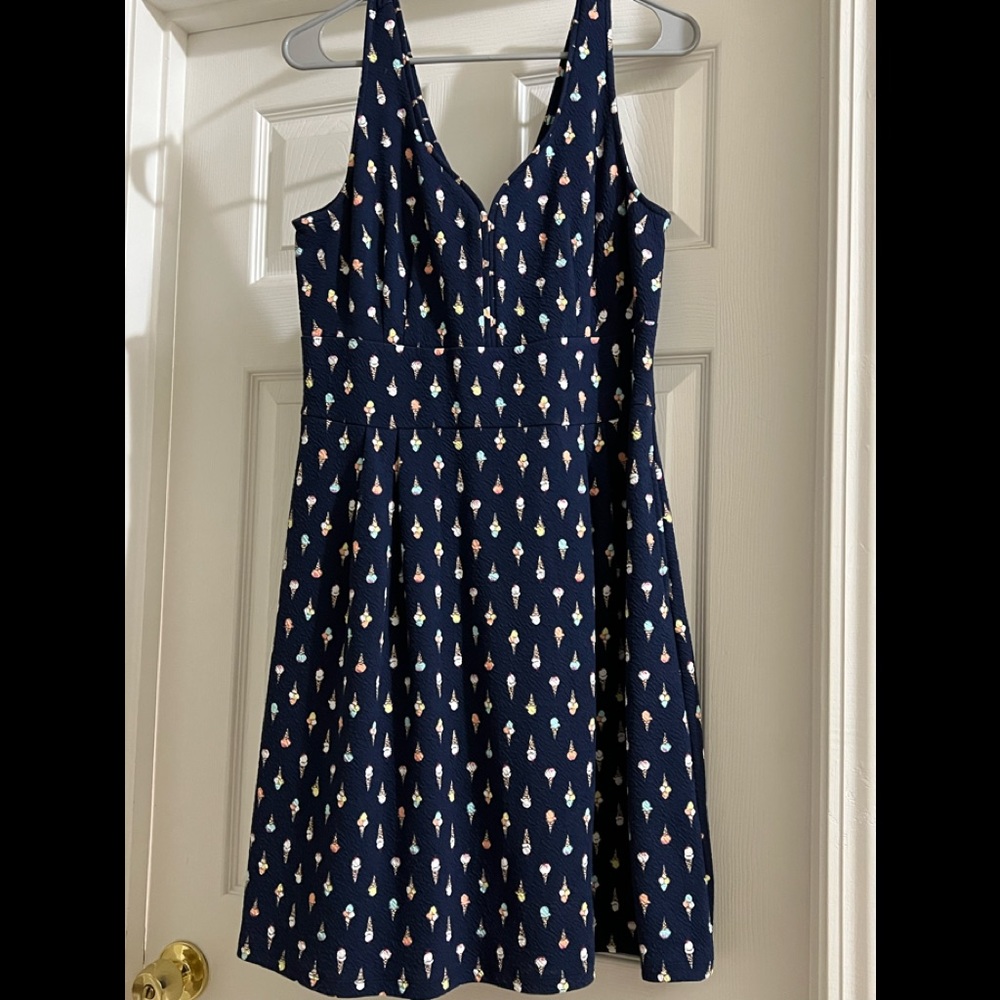 NWT knee length novelty dress